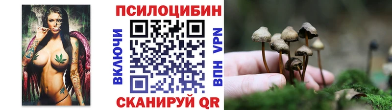 Галлюциногенные грибы Psilocybe  где найти наркотики  Горняк 